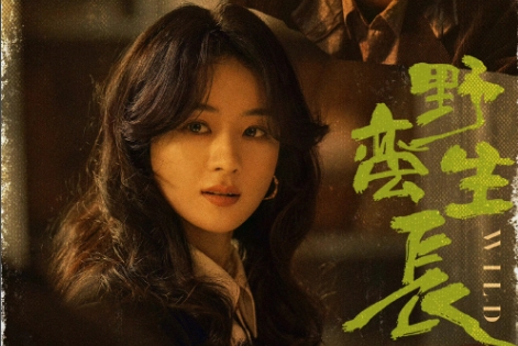 野蠻生長許半夏童驍騎在一起了嗎 許半夏童驍騎是情侶關系嗎